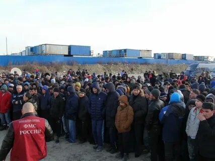 Амнистия для мигрантов