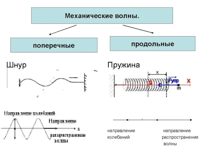 Пример механической волны волны. Виды механических колебаний схема. Механические колебания и волны схема. Продольные и поперечные механические волны. Что такое продольная волна