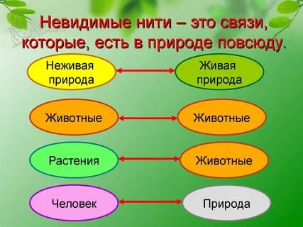 Приведи пример невидимых нитей в осеннем лесу