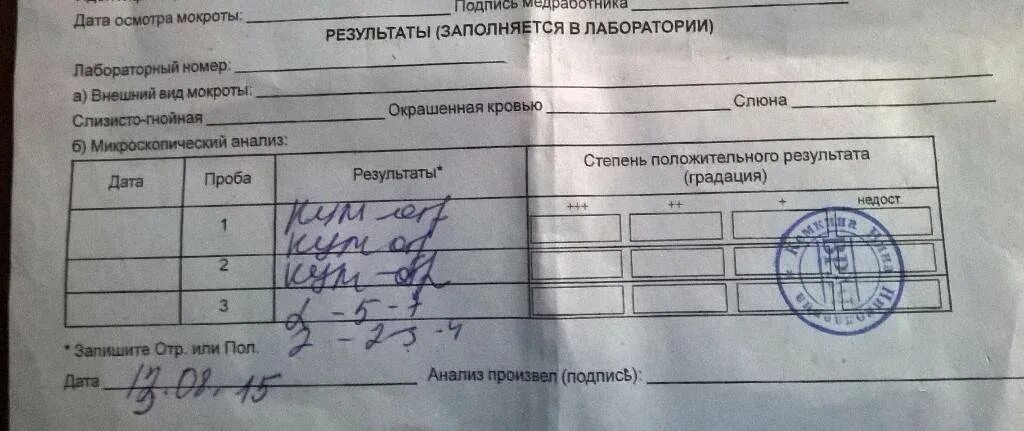 Посев легких. Анализ мокроты микроскопическое исследование. результаты исследования мокроты. результат анализа мокроты. бак посев мокроты на туберкулез.