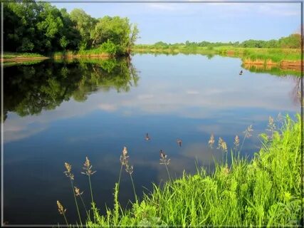 Пензенский край