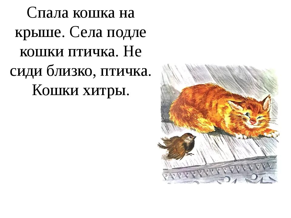 У любы кот васька. Рассказ л н Толстого спала кошка на крыше. Проза л толстой "спала кошка на крыше". Рассказ спала кошка на крыше л.толстой. Л. Н. Толстого «спала кошка на крыше».
