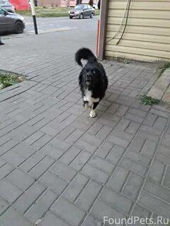 Ставрополь моздок