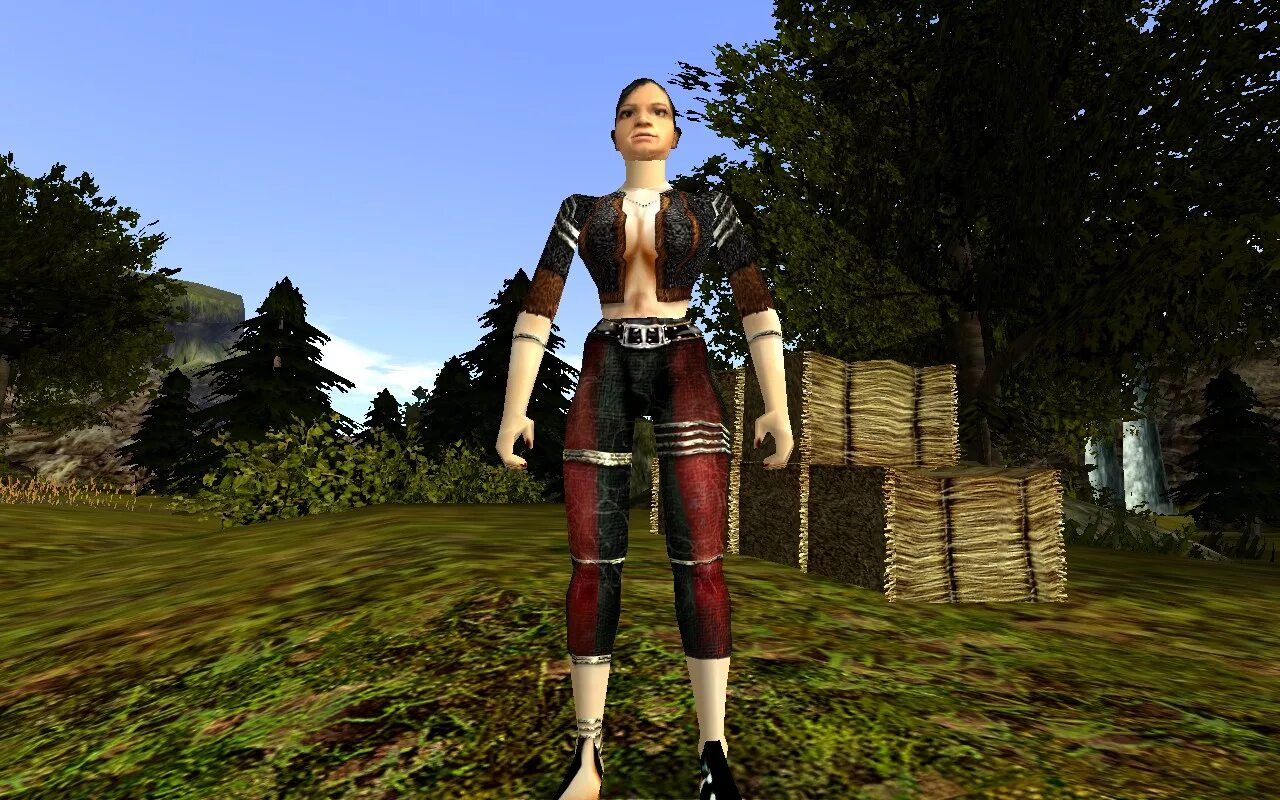 Готика дополнения моды. Готика 3 контент мод орки. Gothic ii ночь ворона возвращение. Готика дополнения моды. Альфа.