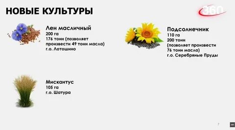 Известно что подсолнечник масличный