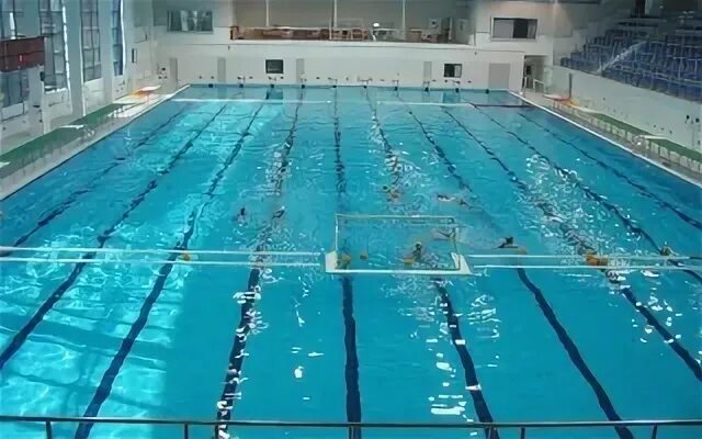 бассейн новочебоксарск спорткомплекс. спорткомплекс нефтяник кириши. водное поло буревестник москва. бассейн кириши. нефтяник малый бассейн город кириши.