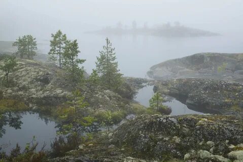 Три тумана карелия сайт