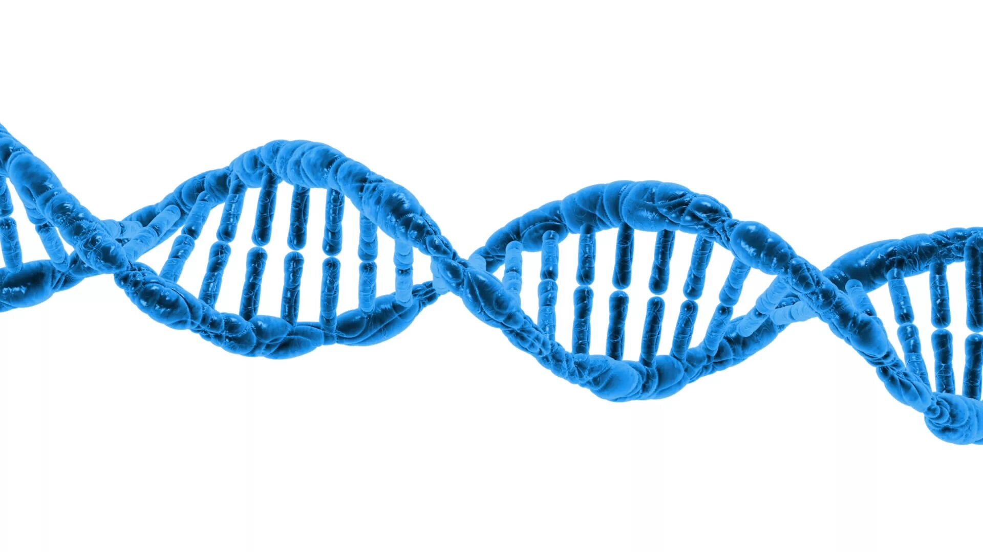 ДНК на белом фоне. ДНК на прозрачном фоне. Спираль ДНК на прозрачном фоне. Цепочка ДНК.