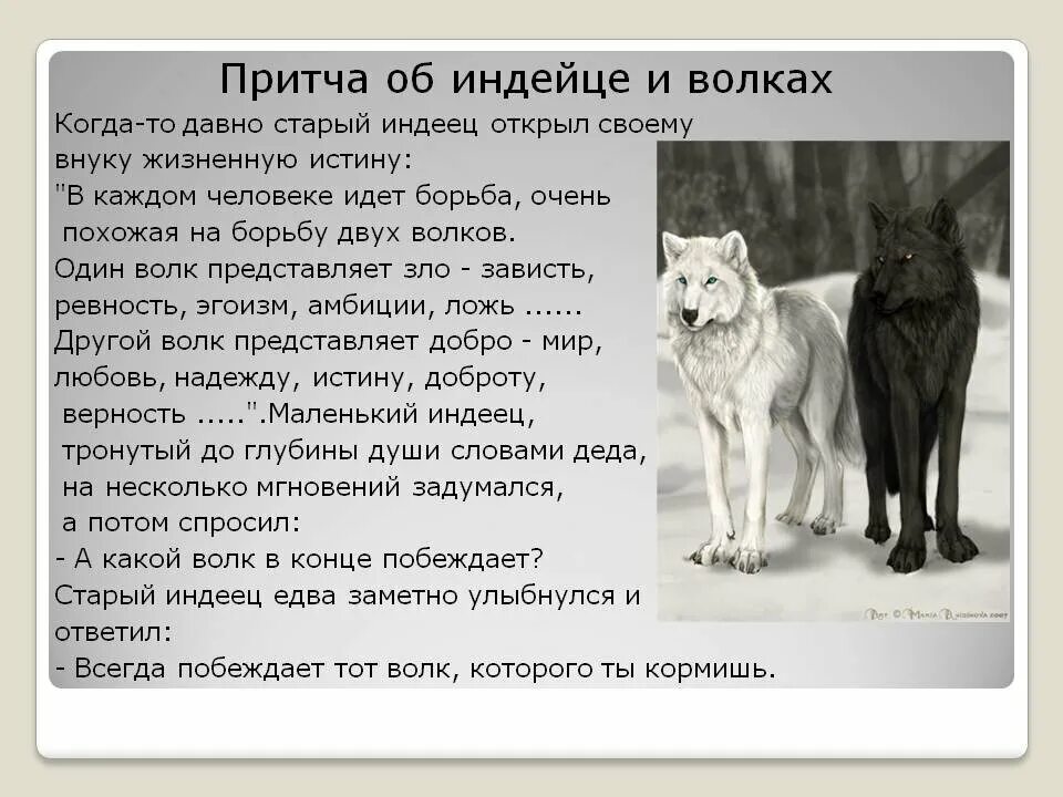 Текст волк и собака. Притча о двух волках. индейская притча о двух волках. притча про волков. какого волка ты кормишь.