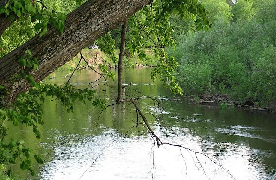 Река Вонча в Марий Эл. Река Вонча, Моркинский район, Республика Марий Эл. Самая чистая река в мире река Вонча.