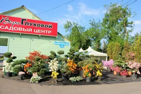 Садовый центр каширское шоссе