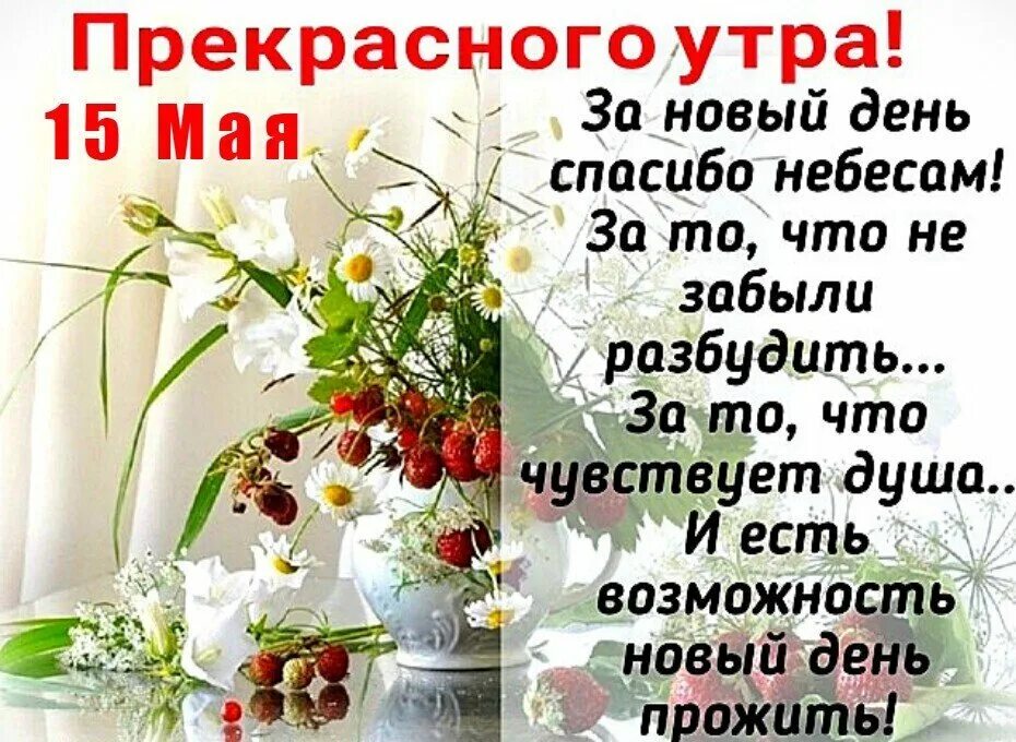 Новое доброе утро с богом