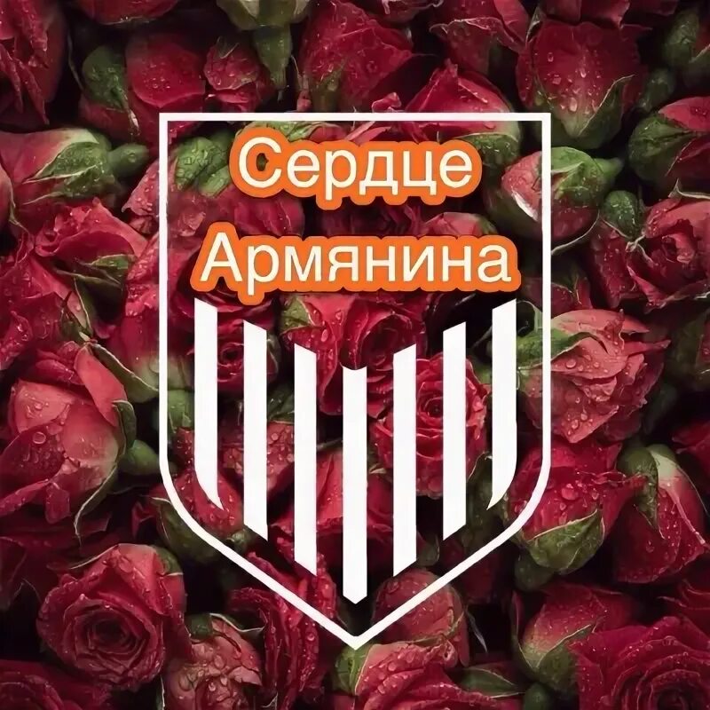 Армения сердце. Флаг евровидение армения. Armenia флаг. Армянские сердечки. Сердце армянина.