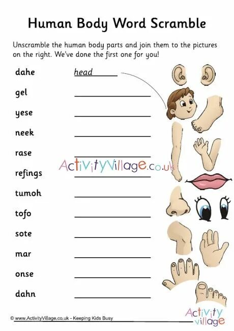 Body parts прописи. Trace bodies. Body parts раскраска. Body parts matching worksheet. Parts of the body worksheets for kids trace.