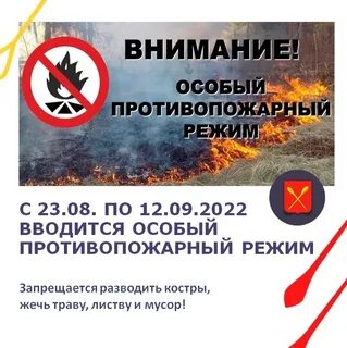 Постановление об особом противопожарном режиме 2024