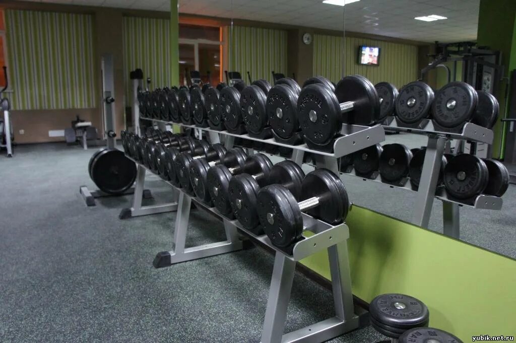 Зал дельта. Дельта спорт лесная 14. Lion gym новый уренгой тренажерный зал. Тренажерный зал дельта. Дельта спорт юбилейный.