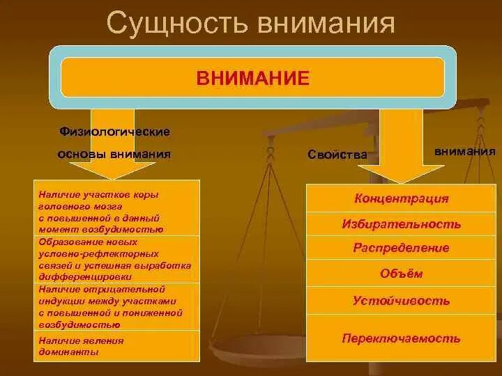 Внимание значимость. Сущность внимания в психологии. Сущность и функции внимания. Сущность функции и виды внимания. Внимание и его свойства.