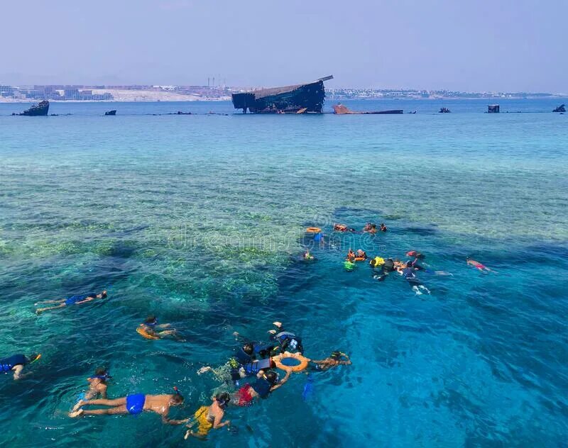 Акулы в Красном море Шарм-Эль-Шейх. Рас Мухаммед Шарм-Эль-Шейх акулы. Шарм-Эль-Шейх акулы на пляжах. Нападение акул в шарме