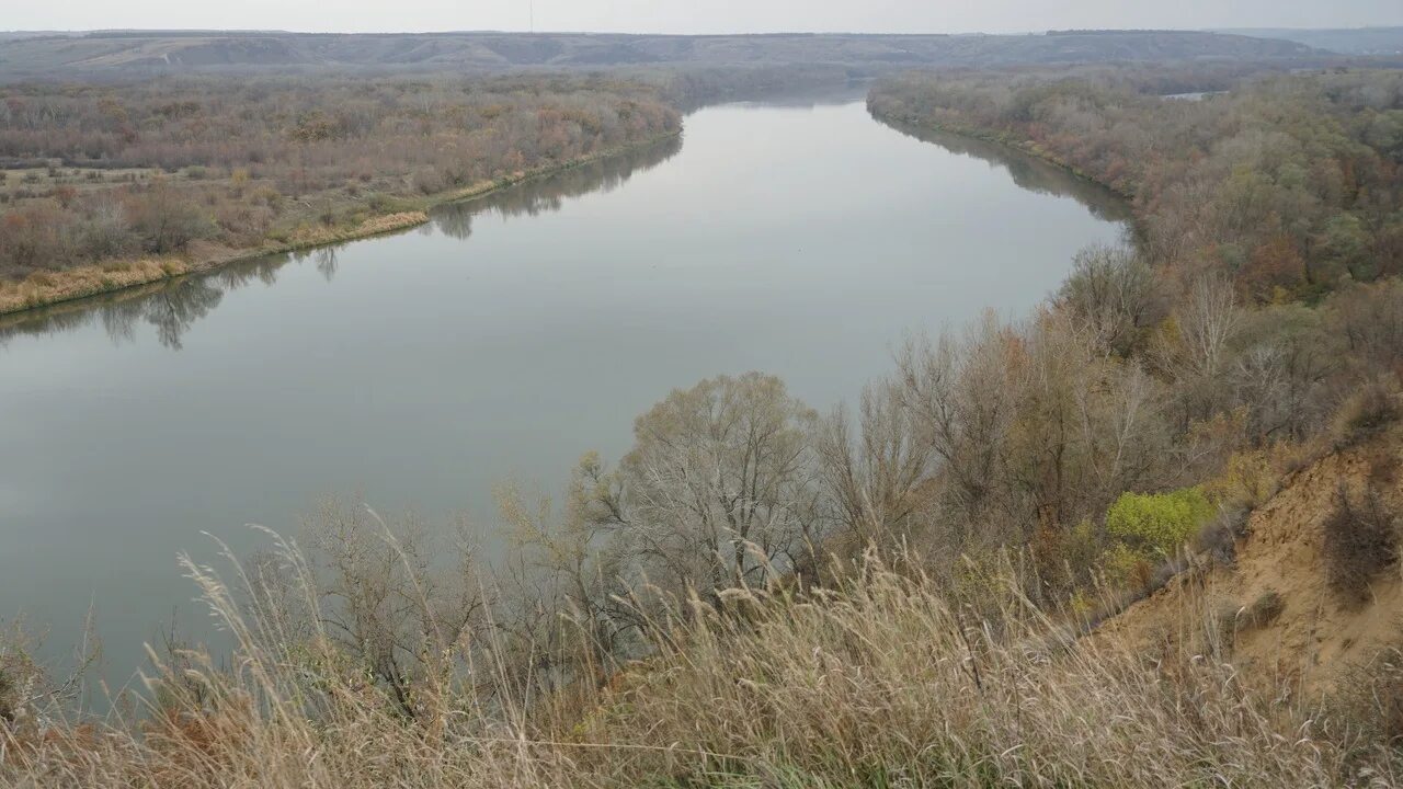 Температура воды в реке дон в ростове. Река Дон Новочеркасск. Река Дон в Тульской области. Гиф река Дон. Вода река Дон.