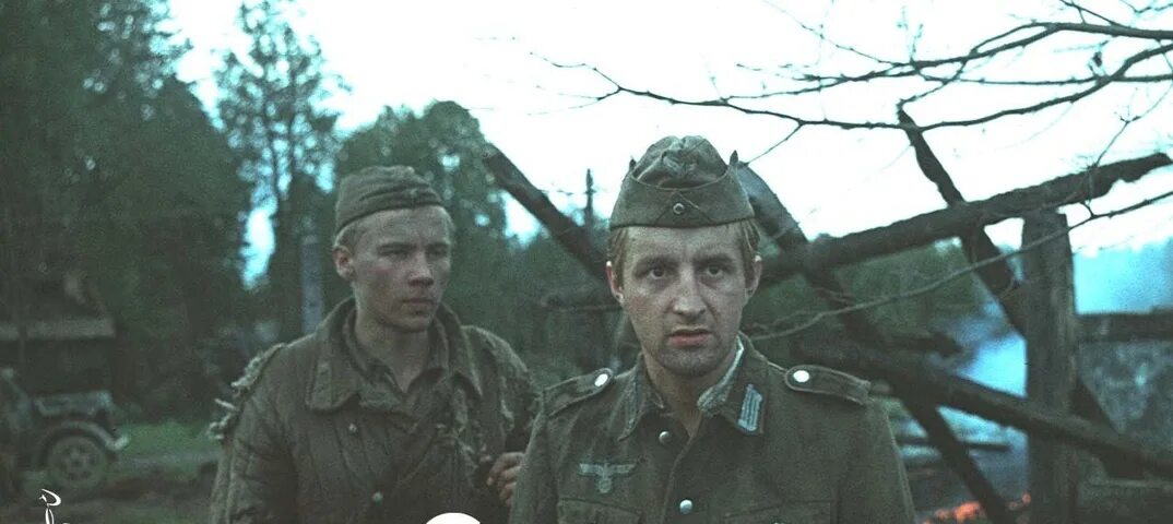 Сашка фильм 1981 кадры. Кондратьев вячеслав леонидович сашка. Хф сашка 2021. Сашка сериал 2021 украина. Хф сашка.