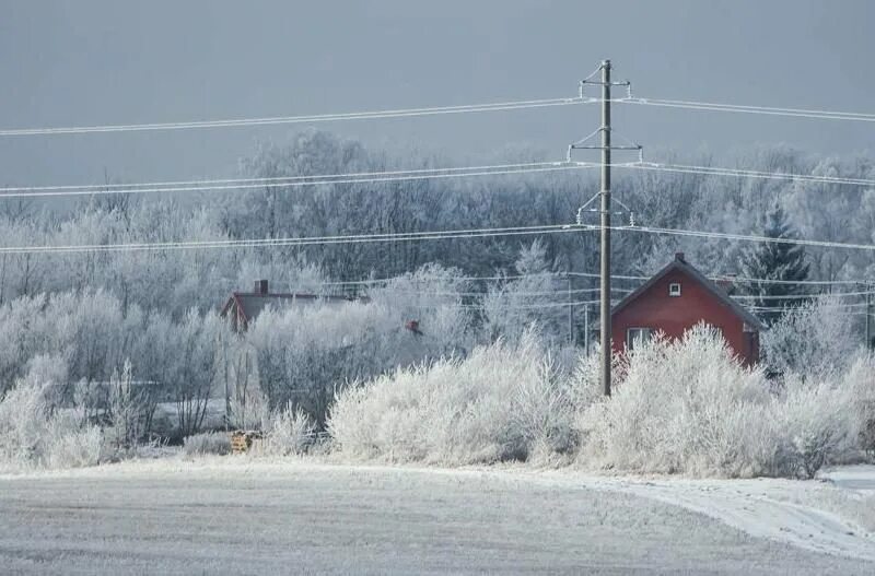 погода брянск 7 января