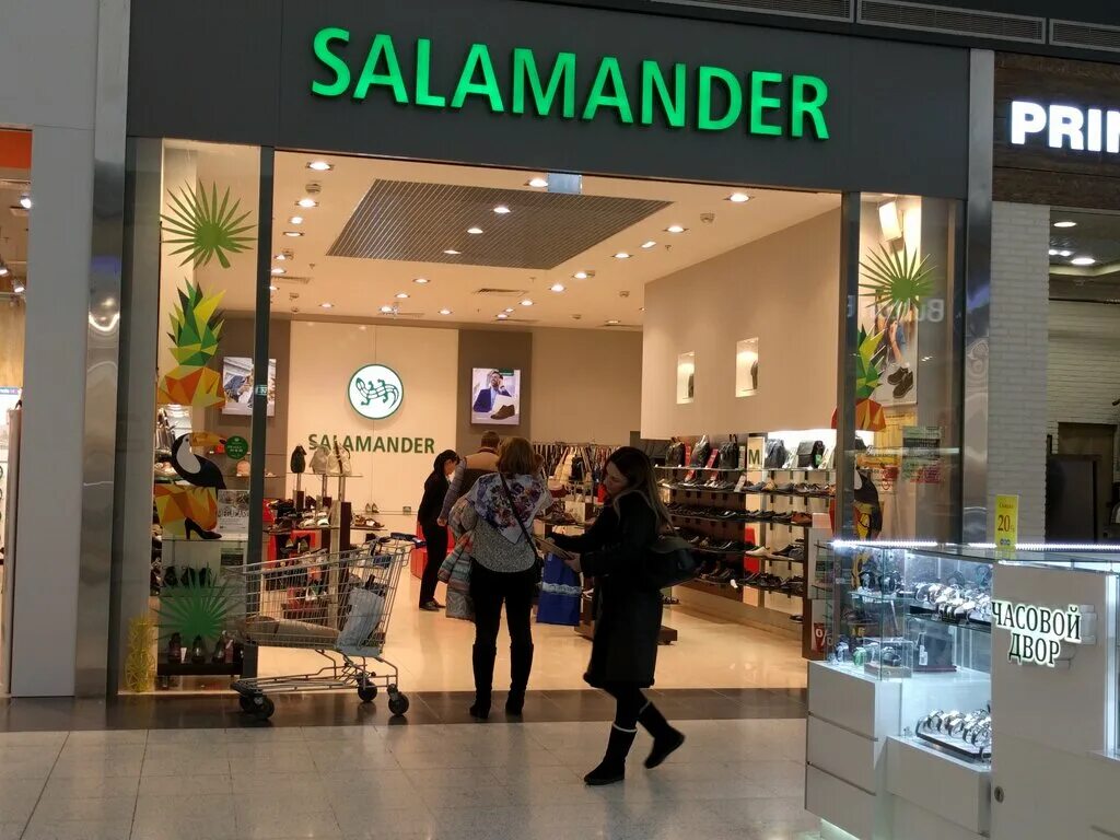 Магазин саламандра обувь. Магазин саламандер. Salamander обувь магазины. Саламандра магазин. Salamander фото магазина.