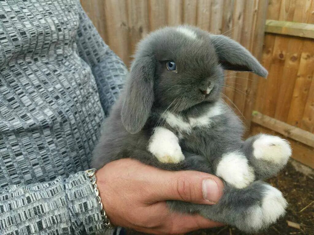 к чему снится парень. к чему снится малыш мальчик. к чему снится маленький мальчик женщине замужней. к чему снится маленький мальчик женщине замужней. к чему снится маленький мальчик женщине замужней.