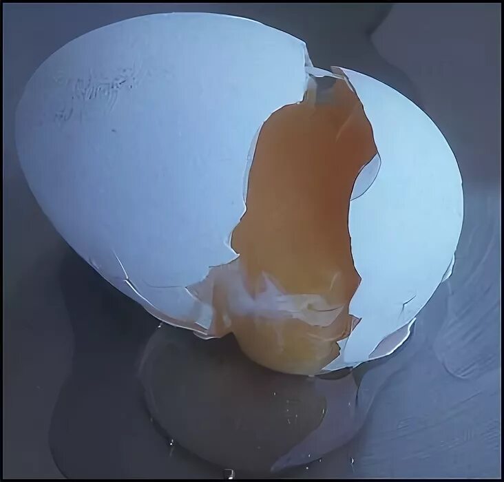 Тухлое яйцо. Гнилые яйца.