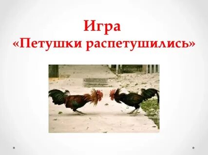 Петушки распетушились но подраться не
