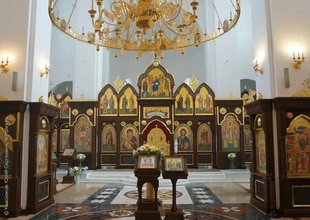 Институт церкви