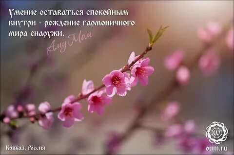 Ничто спокойно