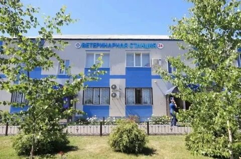 Ветеринарная станция мытищи олимпийский