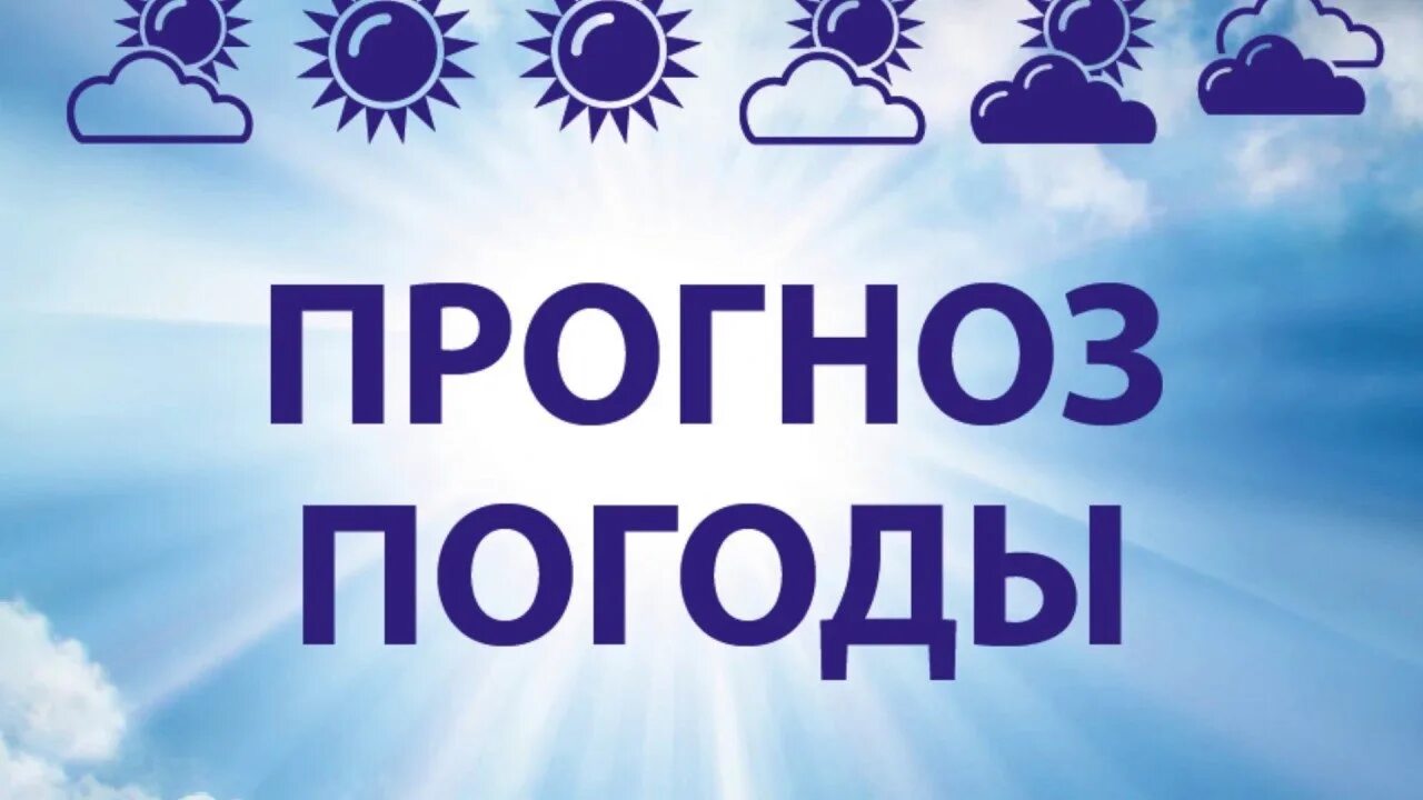 Прогноз погоды заставка. Прогноз погоды логотип. Картинка прогноза погоды. Карнтинк АПРОГНОЗ погоды. Погода без слов