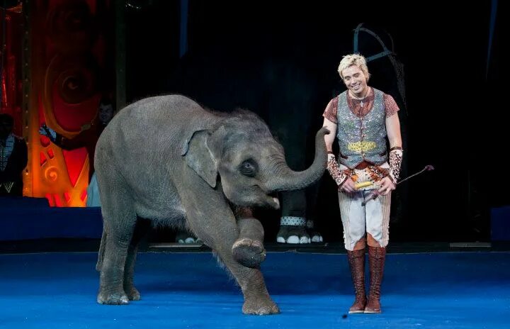 Корниловы цирк. Андрей корнилов цирк. Что показывают в цирке. Андрей дементьев-корнилов дрессировщик. Цирк дементьева-корнилова.