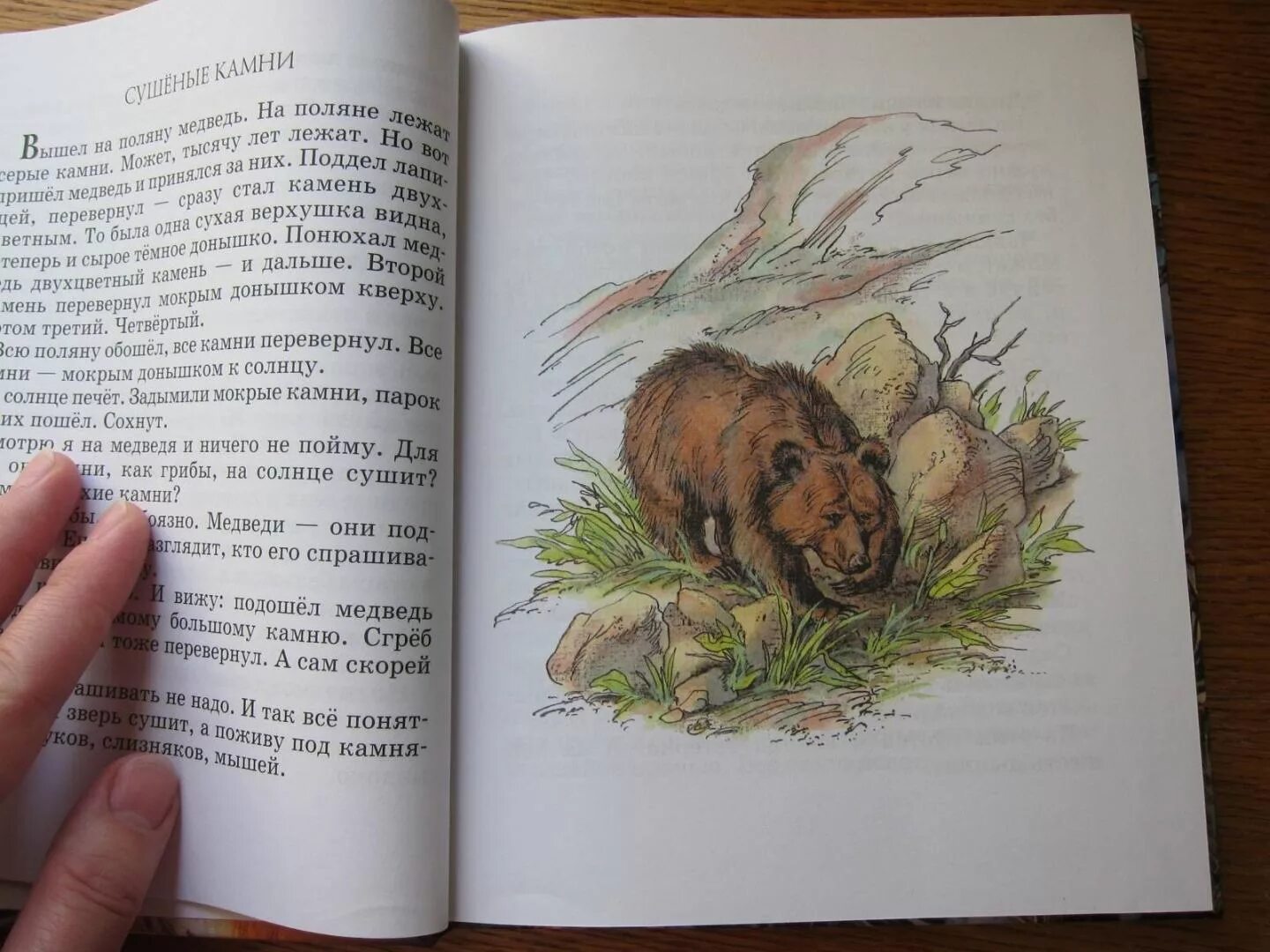 Сладков николай рассказы для детей список. Сказки николая сладкова. Сладков николай иванович произведения. Николай сладков серебряный хвост иллюстрации. Николай сладков рассказы.