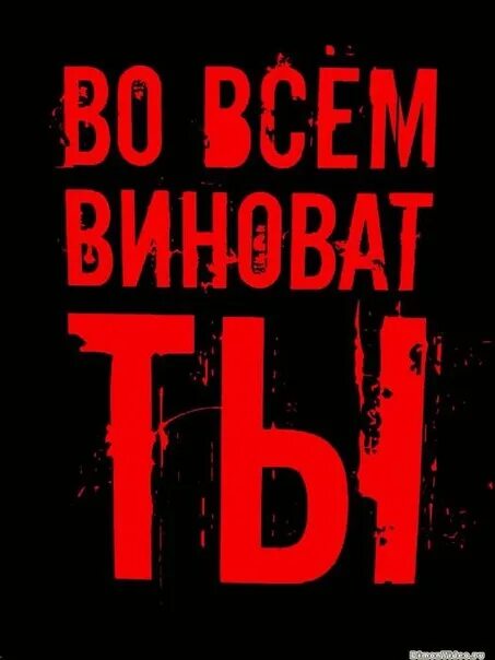 Виновен во всем. Кто виноват и что делать мем. Прошу понять и простить бородач. Смешной виноватый кот. Во всём виноват.