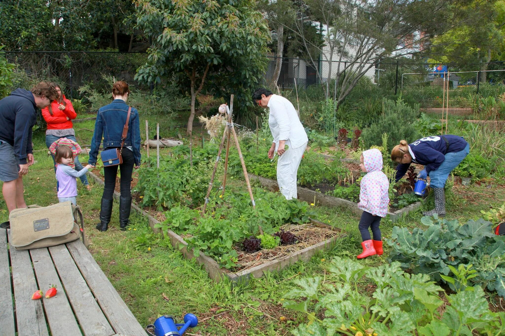 Сообщество сад. Проект садоводства для школы. Искусственные сообщества сад помощники. Сад малого ухода своими руками.