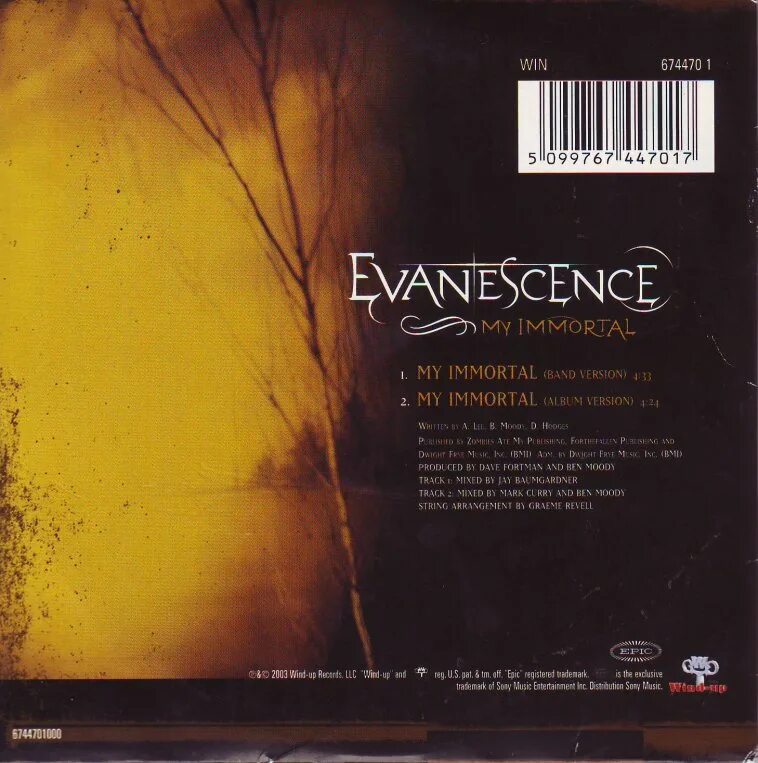 Песня my immortal. Evanescence Immortal. Эванесенс my Immortal. Evanescence - my Immortal обложка. Evanescence mp3 диск.