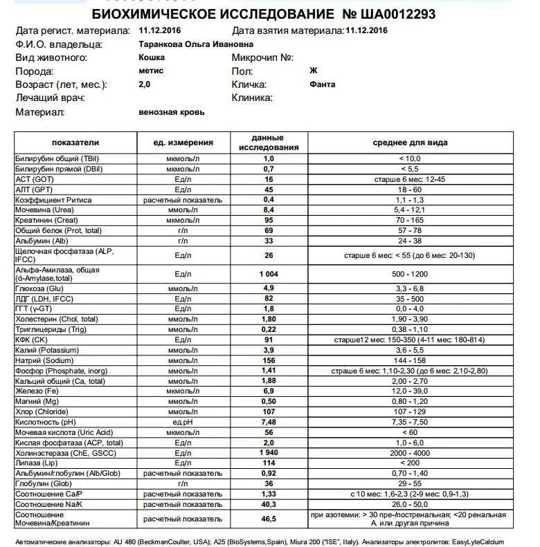 Норма сахара у собак. Биохимия анализ норма щелочная фосфатаза. Щелочная фосфатаза норма ммоль. Щелочная фосфатаза в биохимическом анализе крови. Алт щелочная фосфатаза норма.