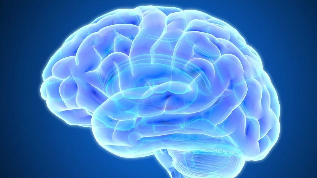 Good brain. Мозг свечение. Синий мозг. Мозг Сток.
