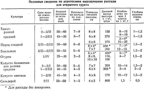 Какая температура помидорами ночью. Таблица агротехника посева семян. Глубина посадки семян помидор на рассаду. Таблица высадки рассады томатов. Капуста глубина заделки семян.