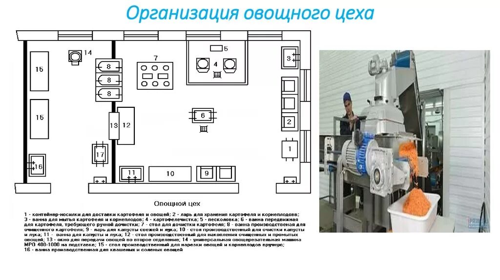 Организовать производство на участке. Схема организации овощного цеха. Схема размещения оборудования в овощном цехе. Схема оборудования овощного цеха. План овощного цеха с расстановкой оборудования.