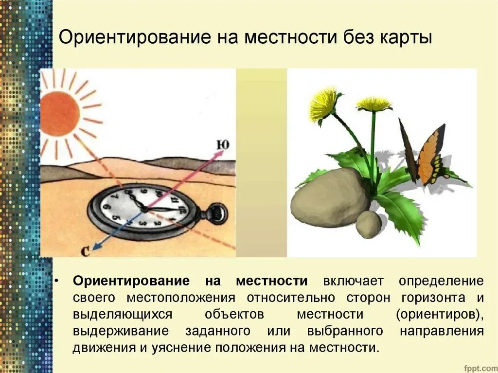 Ориентирование на местности. Способы ориентирования на местности. Способы ориентироваться по местности. Способы ориентироваться на местности без компаса.