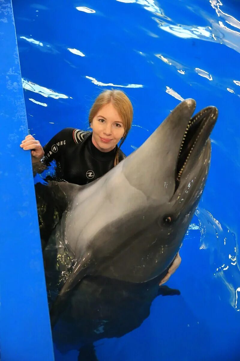 Дельфин Москвариум. Москвариум на ВДНХ дельфины.