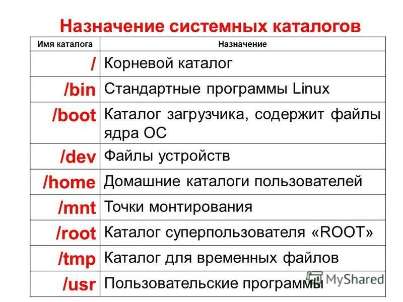 Типы корневых систем строение. Какие файлы находятся в корневом каталоге. Корень в информатике. Видоизменения органов растений таблица. Система адресов.
