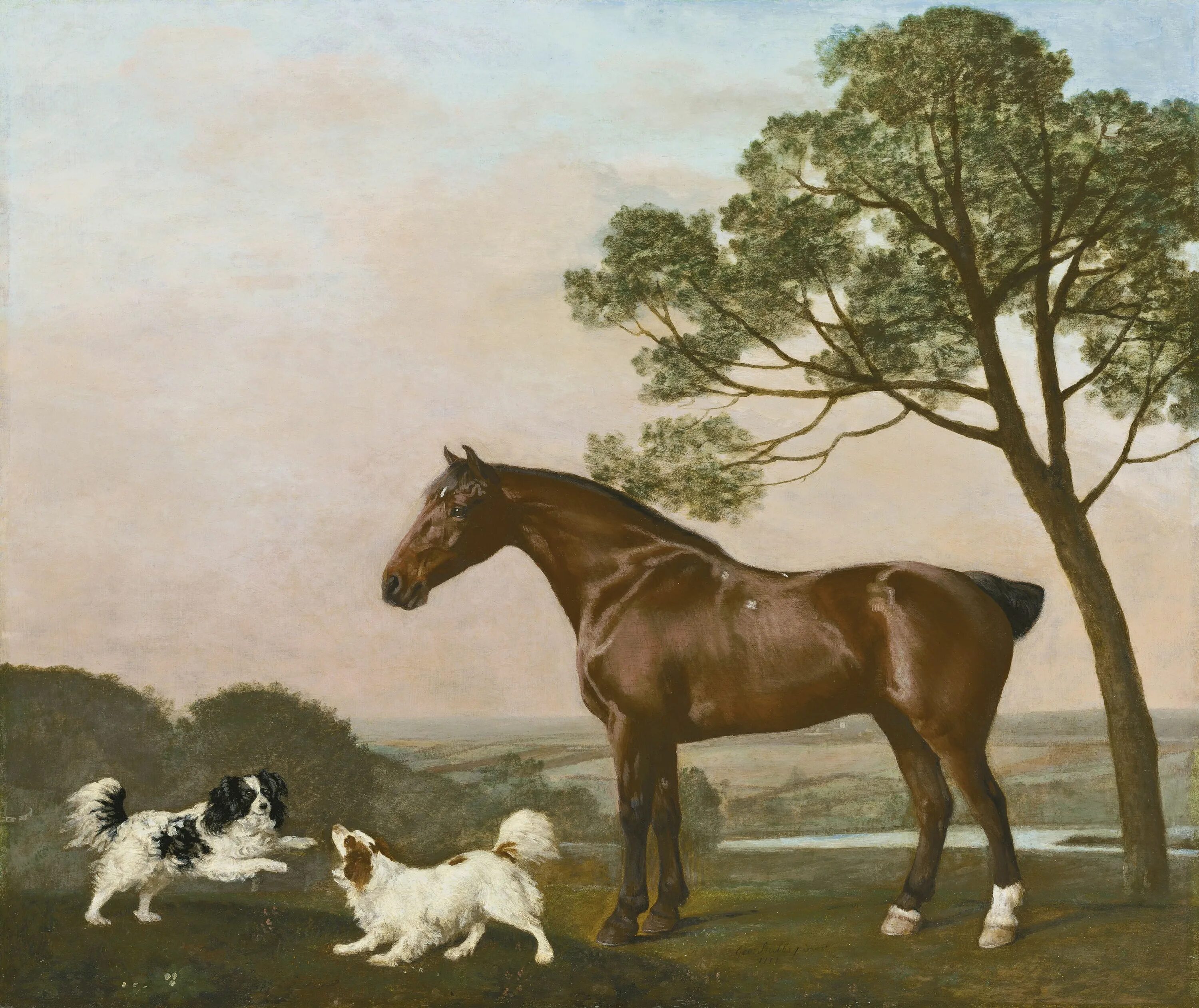 John frederick herring, белая лошадь. Лошади на картинах великих художников. Картины джорджа стаббса. Репродукция лошадей. Лошади.