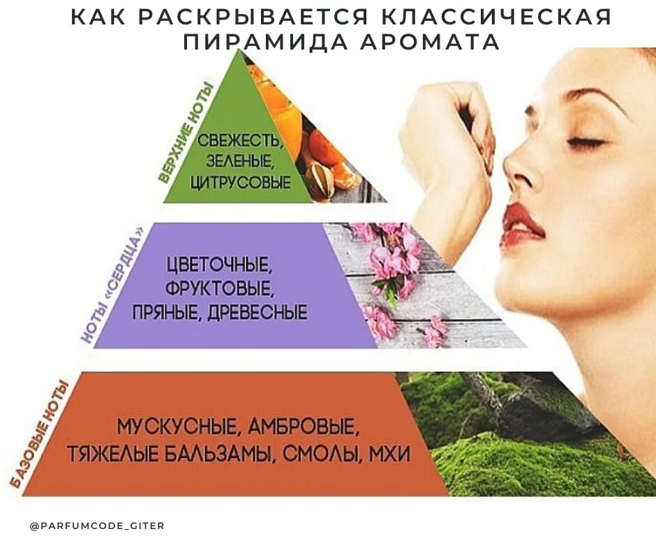 Ольфакторные запахи