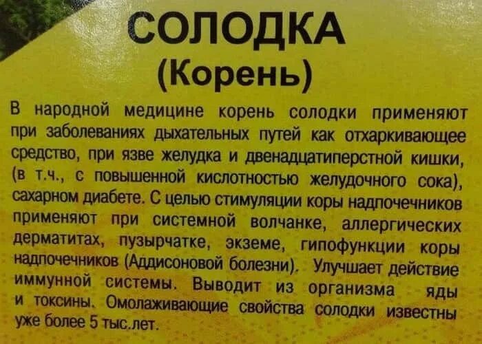 Прием солодки. Чем полезен корень солодки. Корень солодки лечебные свойства. Корень солодки противопоказания. Корень солодки применение.