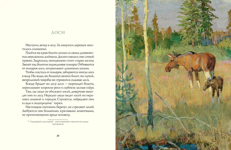 Рассказы это было в лесу. Рассказы это было в лесу