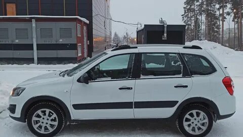 Калина кросс белый